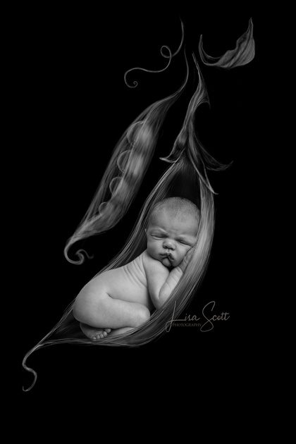 Newborn Photography