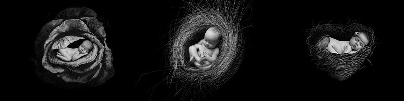 B&W Newborn Photography