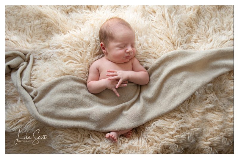 Lisa-Scott-Photography-Newborns-010