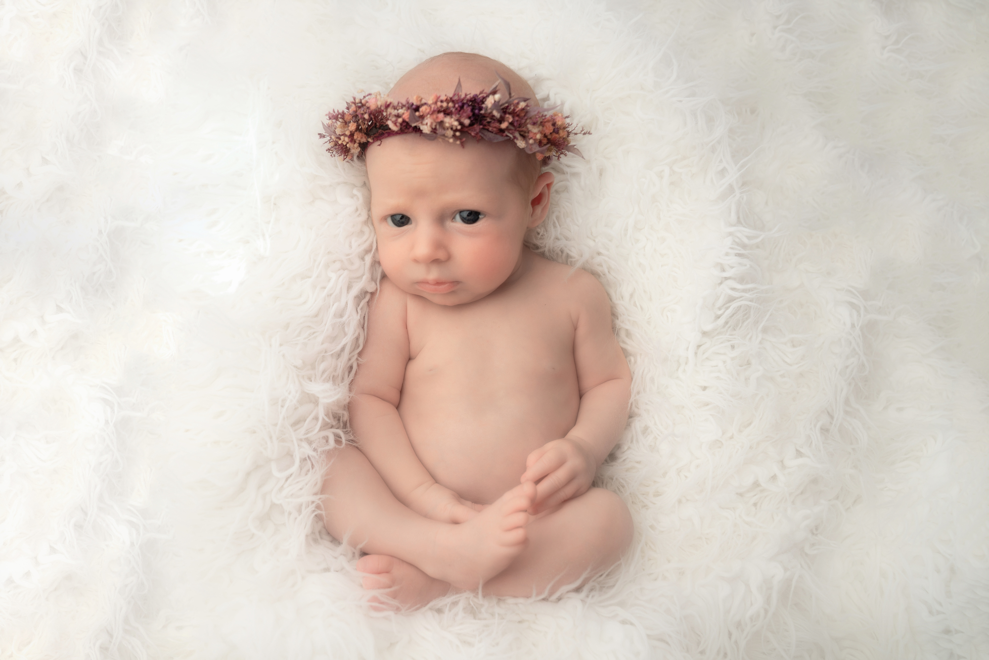 newborn photography in rugby